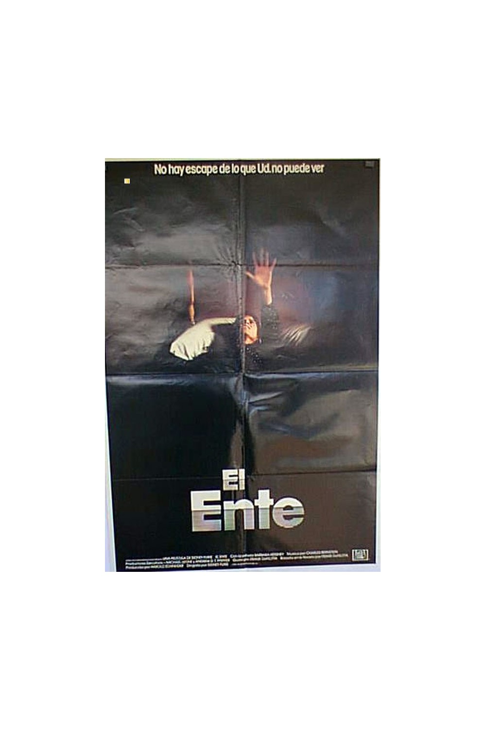 THE ENTITY
