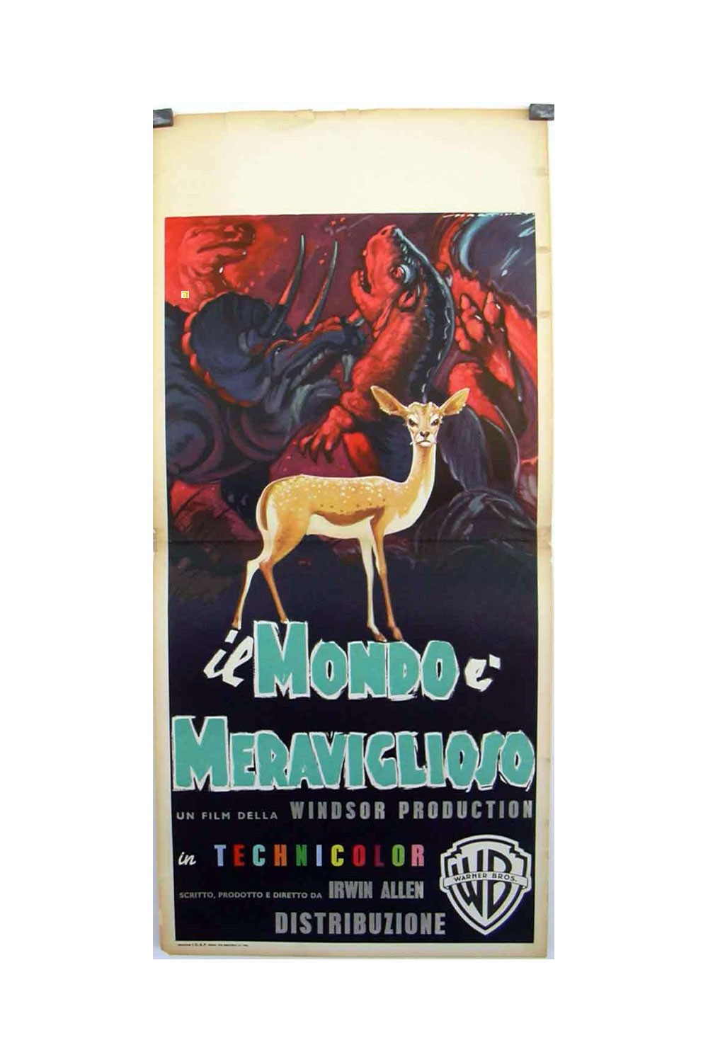 THE ANIMAL WORLD