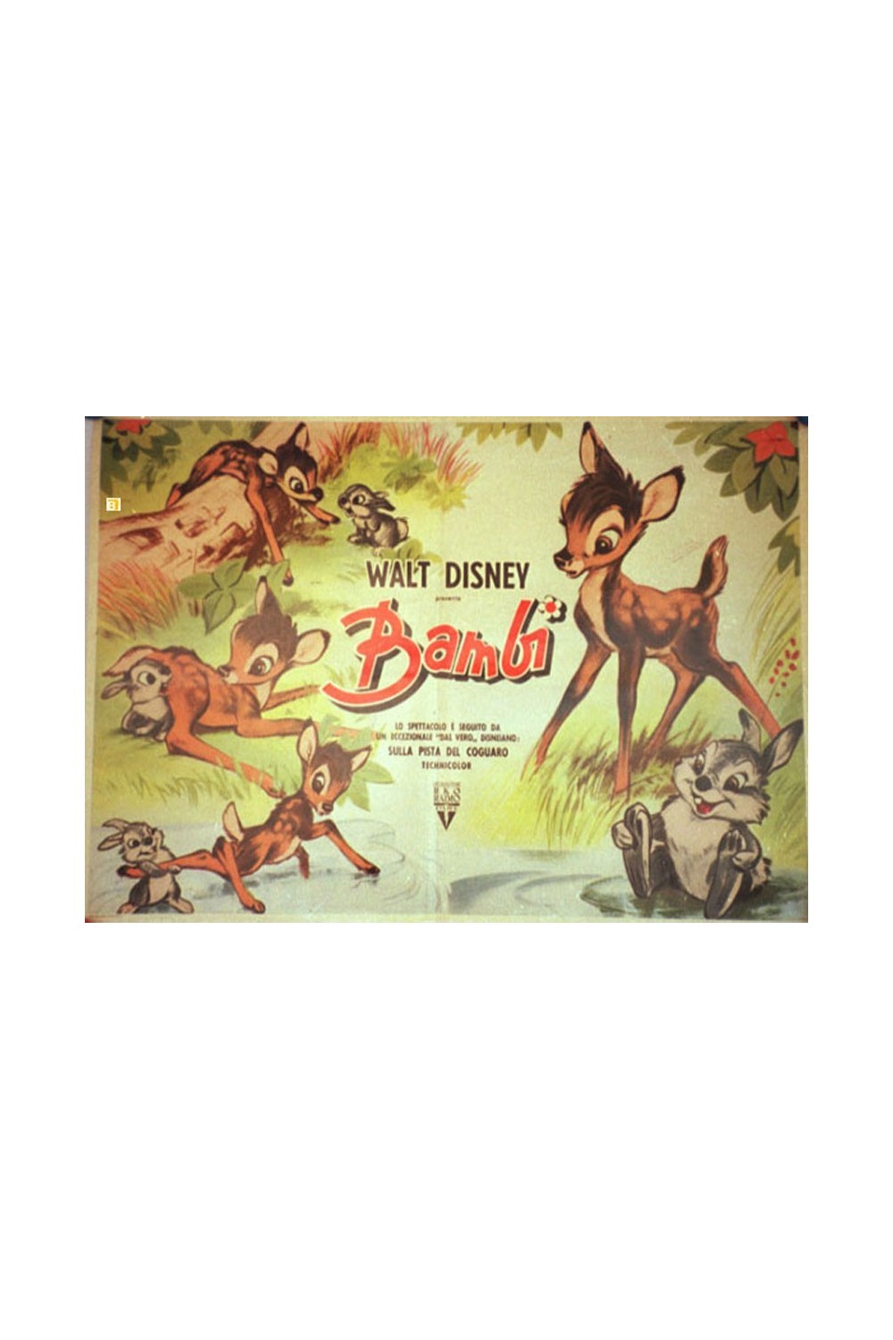 BAMBI
