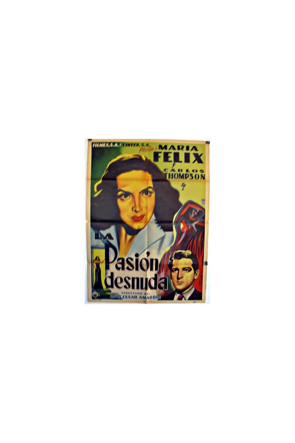 LA PASION DESNUDA