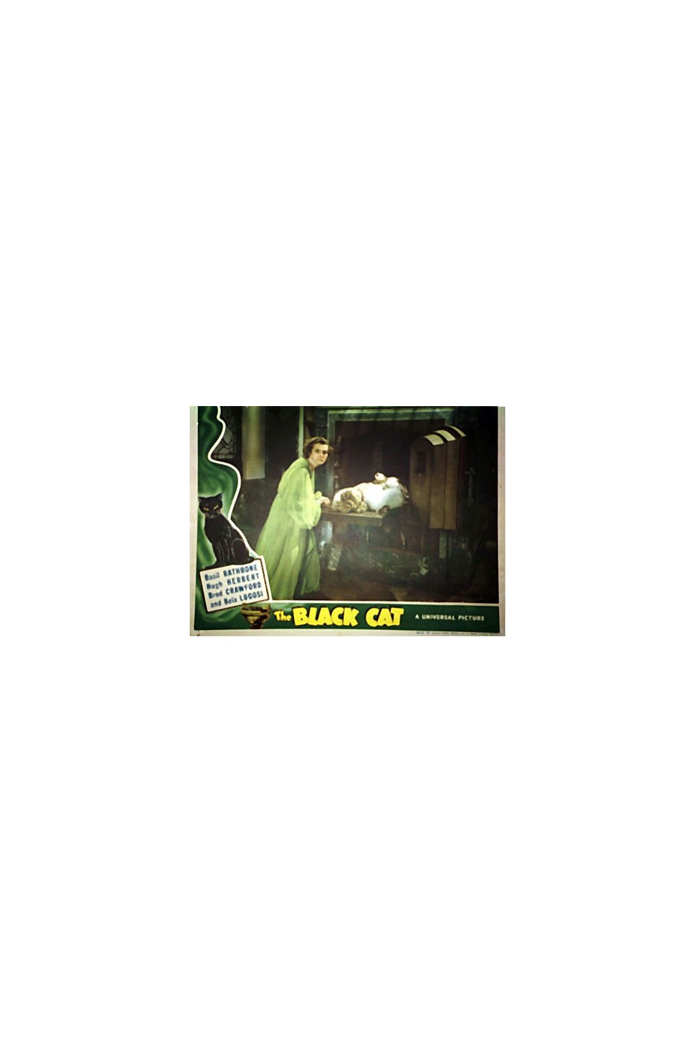 THE BLACK CAT