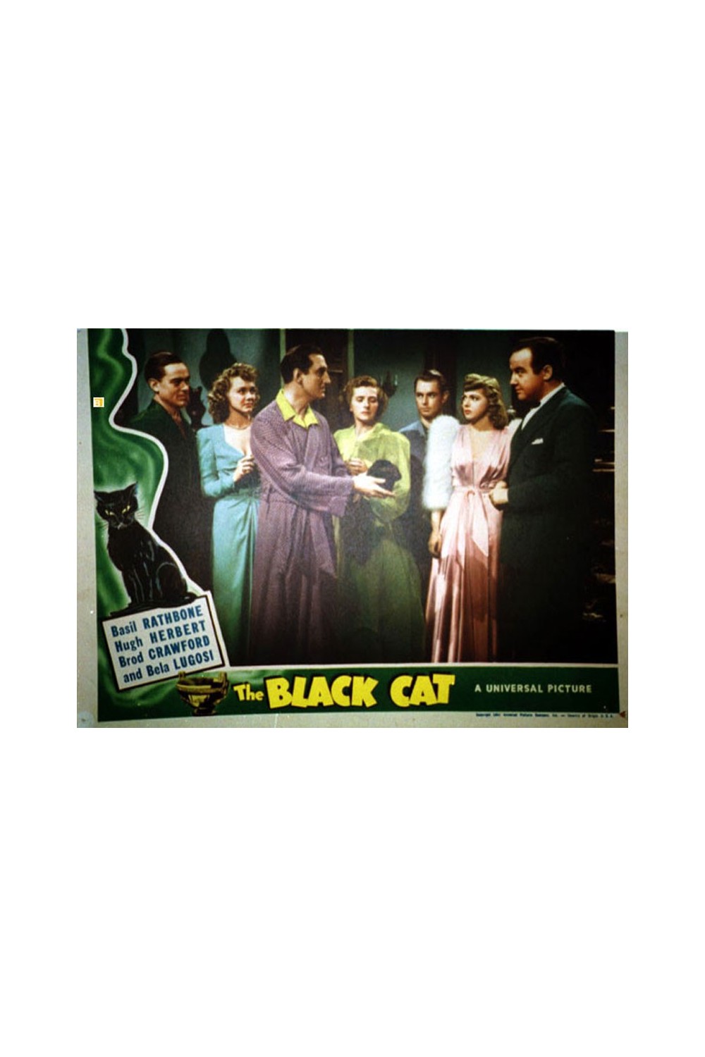 THE BLACK CAT
