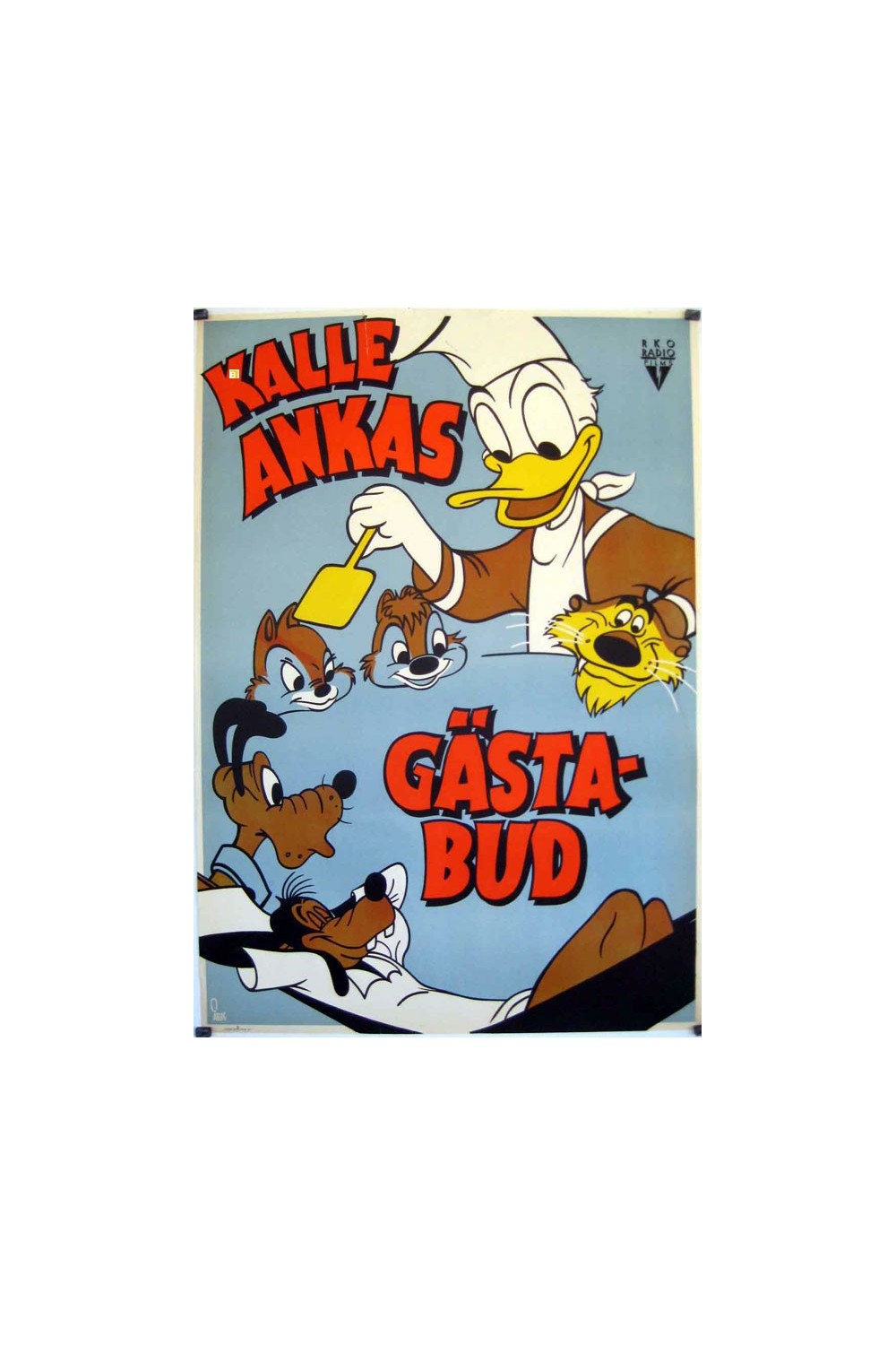 DONALD DUCKS BIRTHDAY PARTY