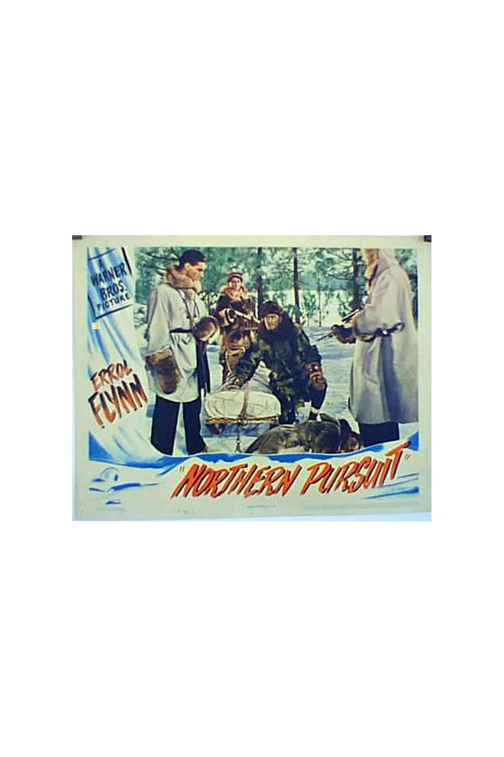 NORTHERN PURSUIT
