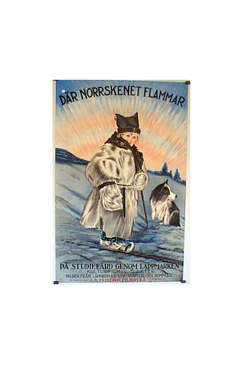 NORRSKENET FLAMMAR, DAR