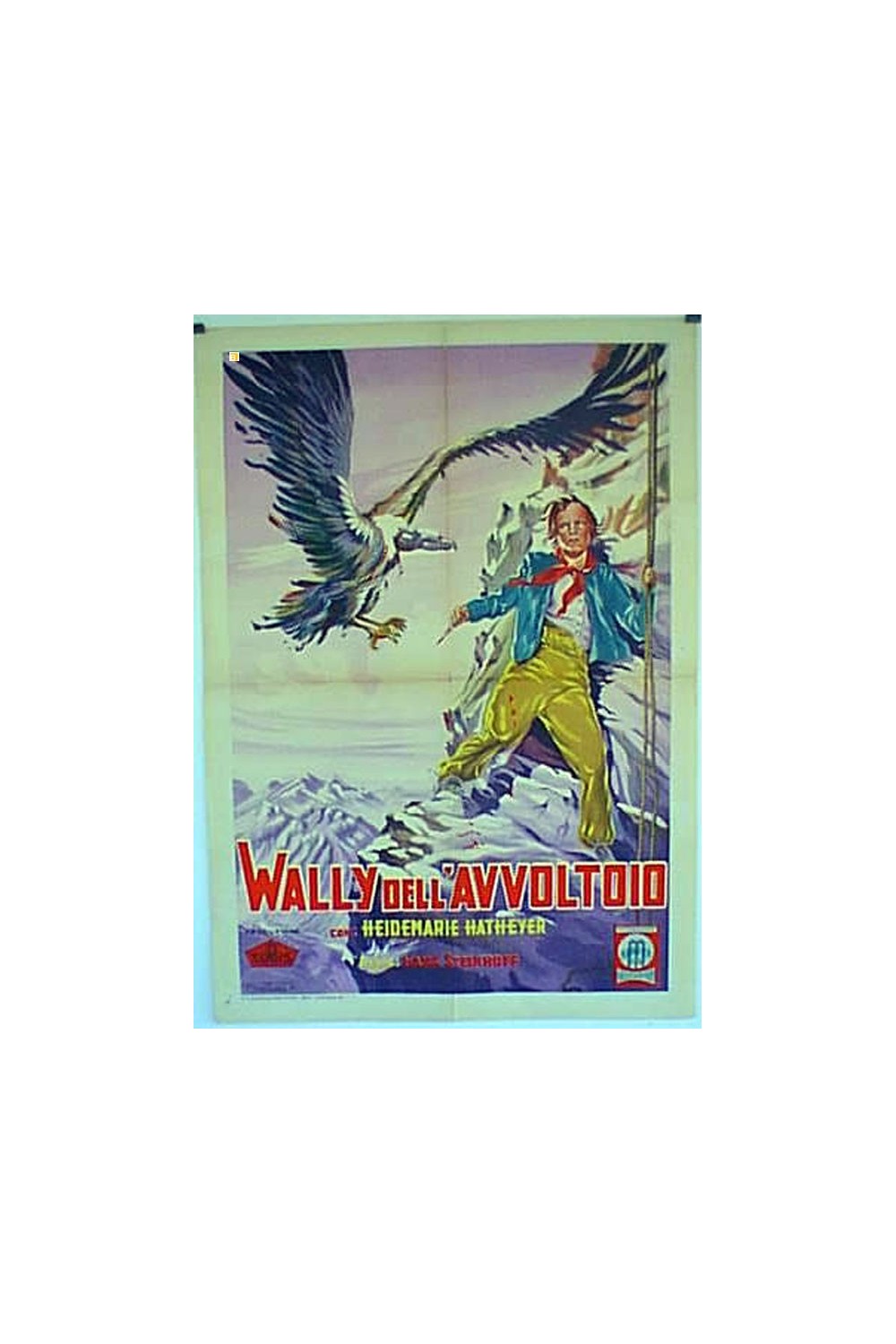 DIE GEIERWALLY