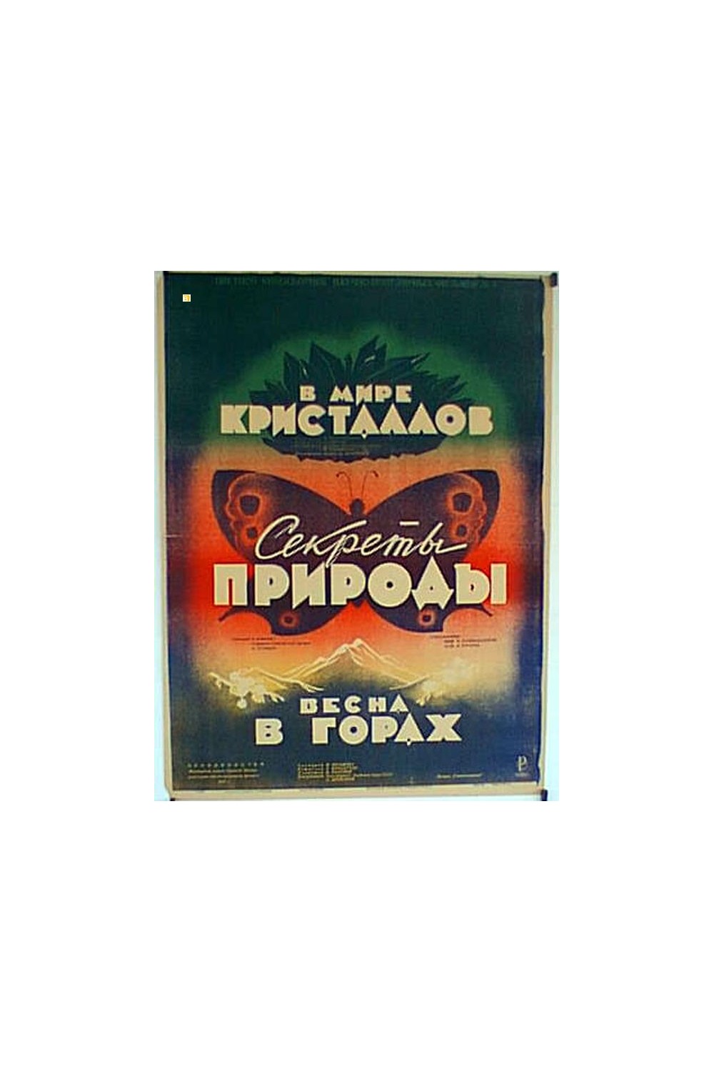 BECHA B TOPAX