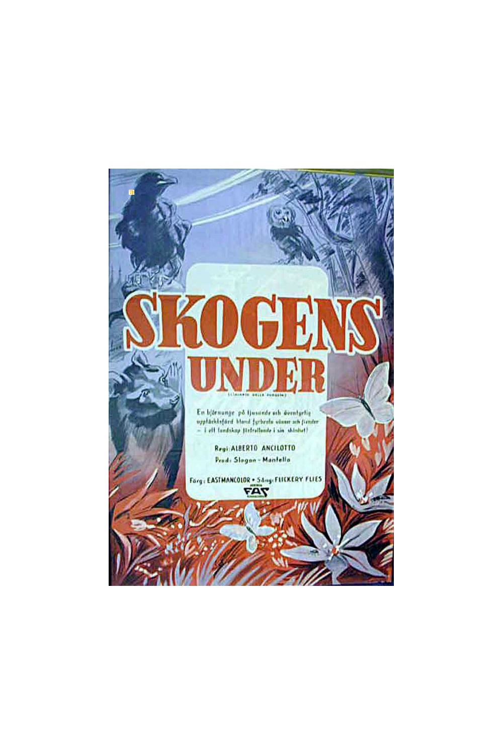 L'INCANTO DELLA FORESTA