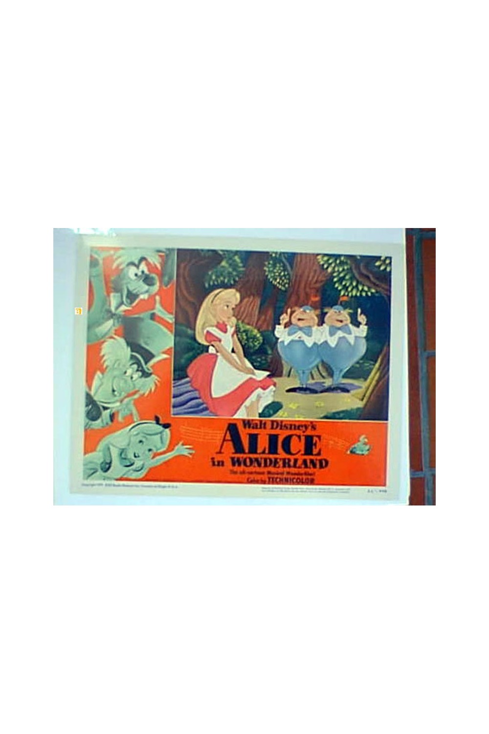 ALICE IN WONDERLAND