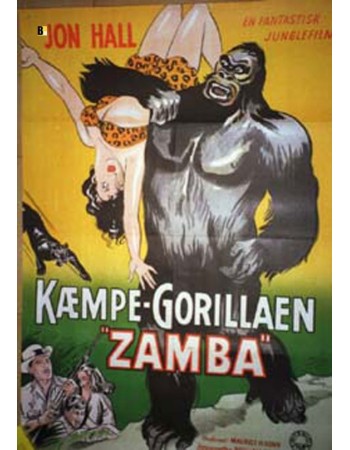 ZAMBA
