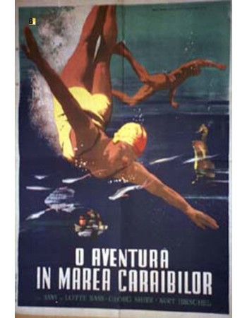 Abenteuer im Roten Meer