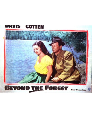 BEYOND THE FOREST