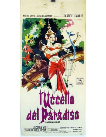 L'OISEAU DE PARADIS