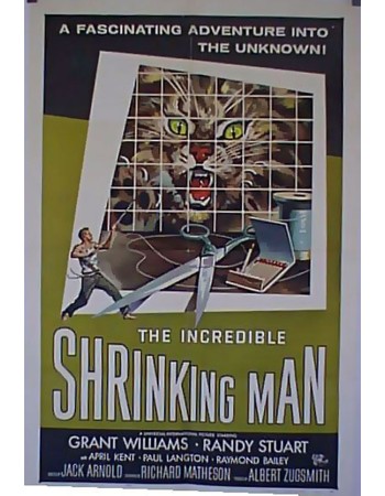 THE INCREDIBLE SHRINKING MAN