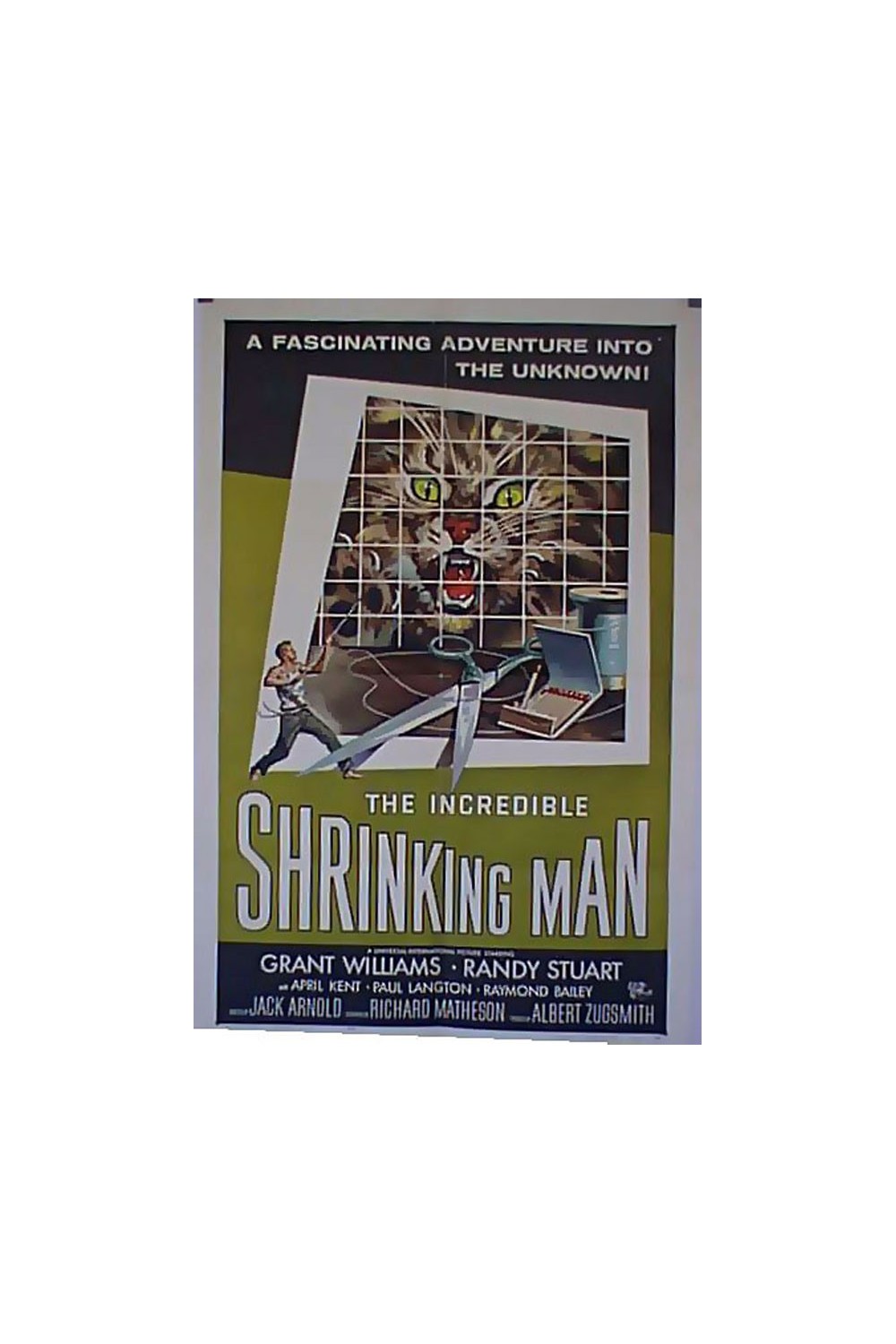 THE INCREDIBLE SHRINKING MAN