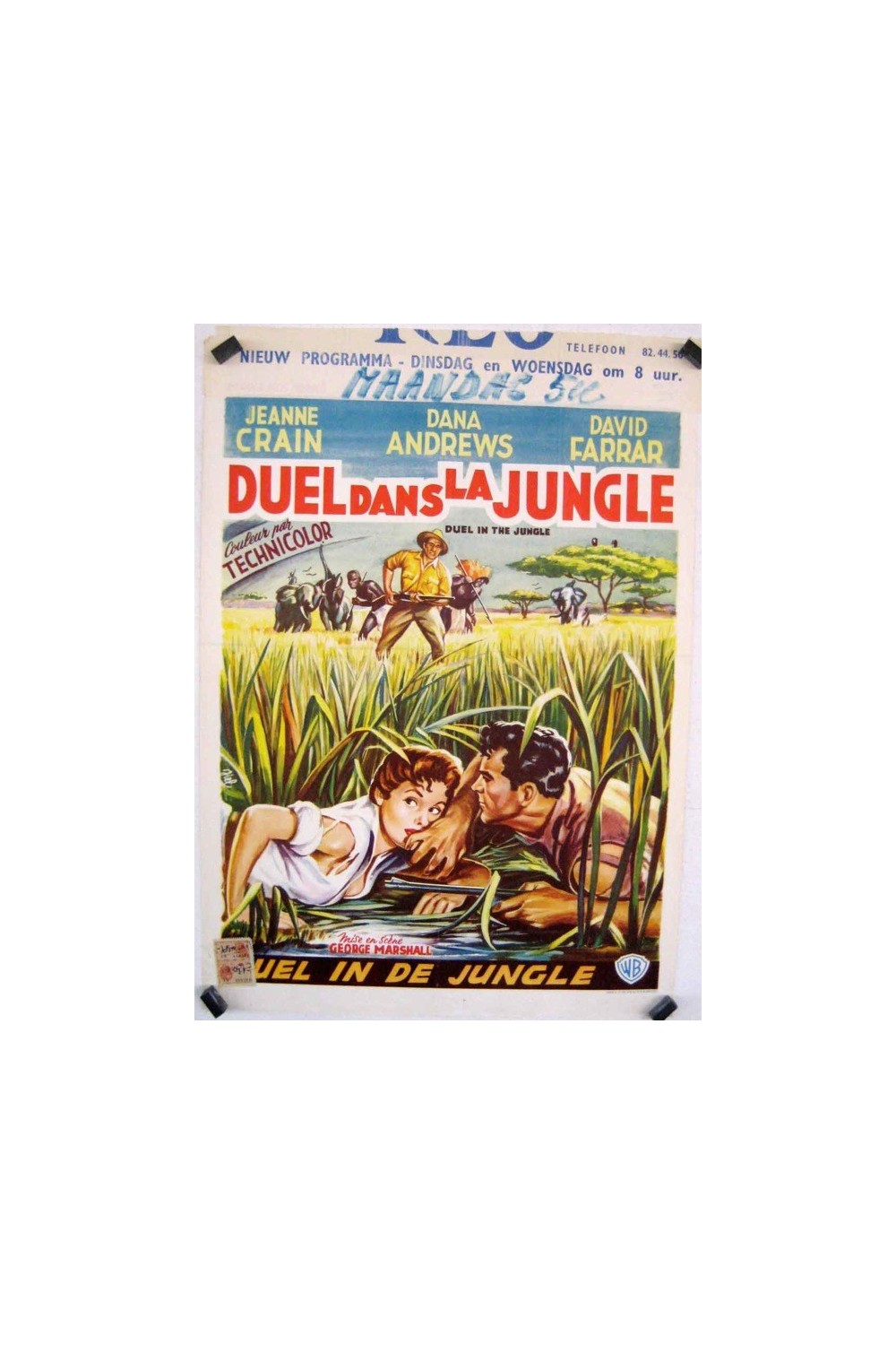 DUEL IN THE JUNGLE