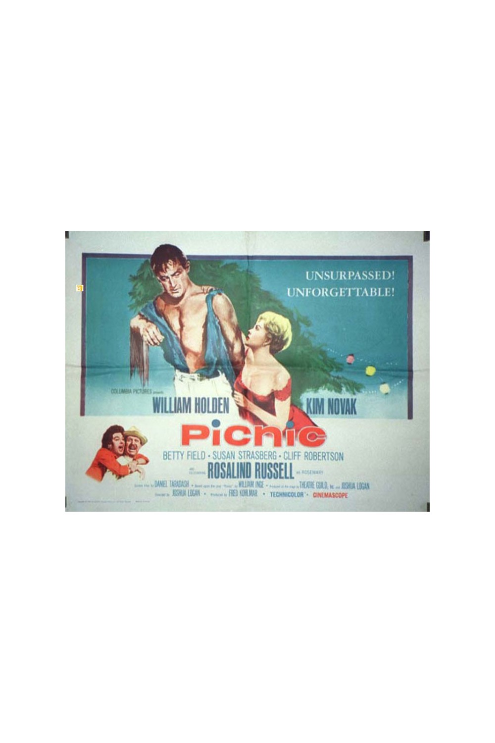 PICNIC