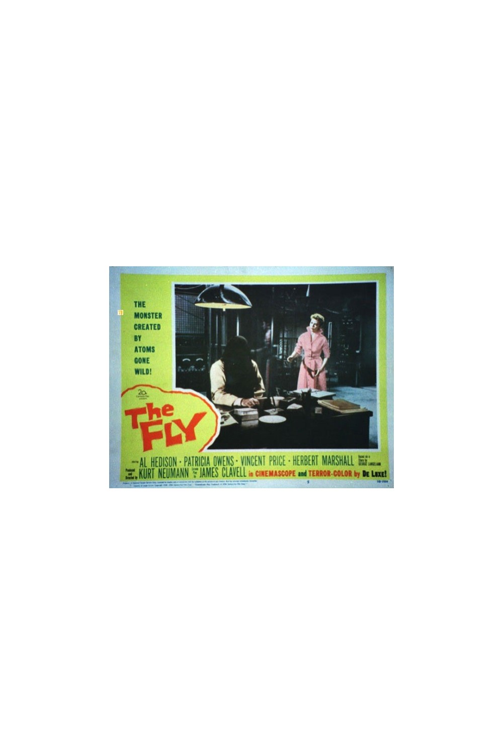 THE FLY