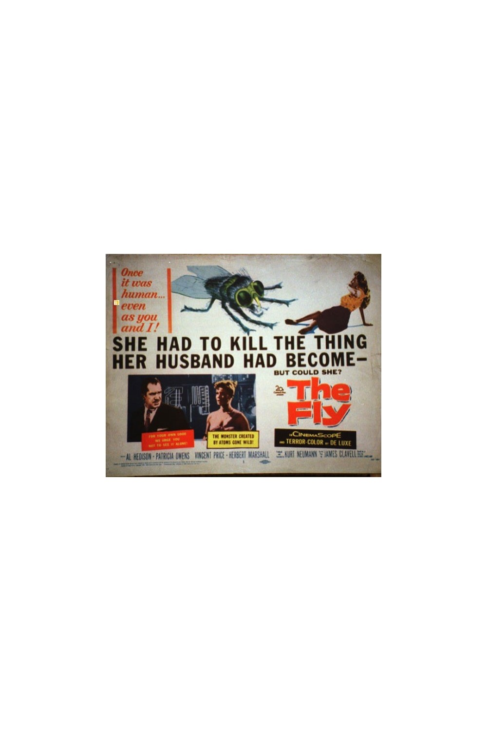 THE FLY