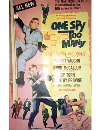 ONE SPY TOO MANY