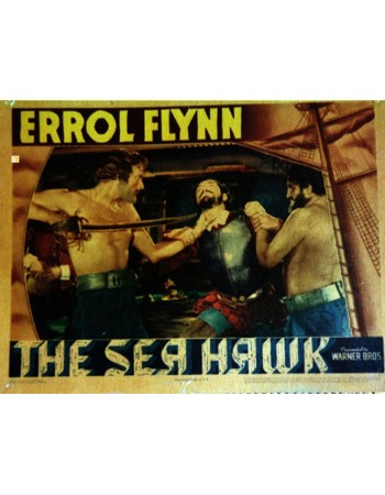 THE SEA HAWK