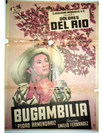 BUGAMBILIA