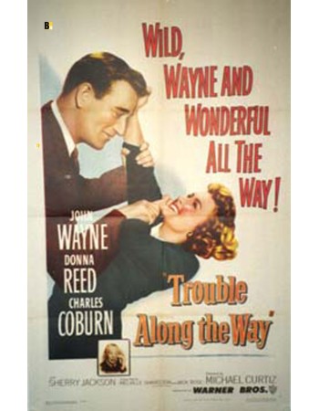 TROUBLE ALONG THE WAY