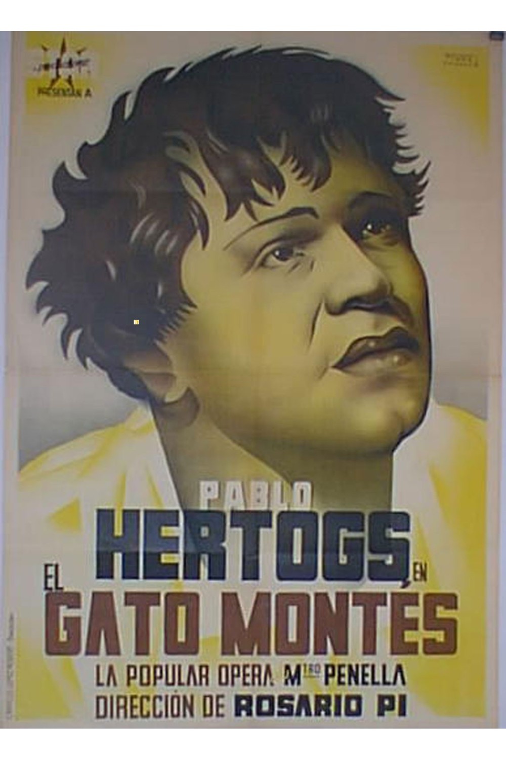 EL GATO MONTÉS