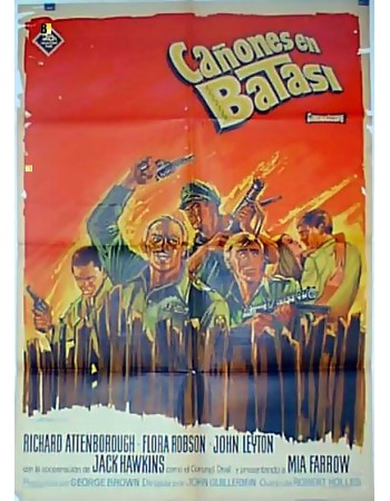 Guns at Batasi