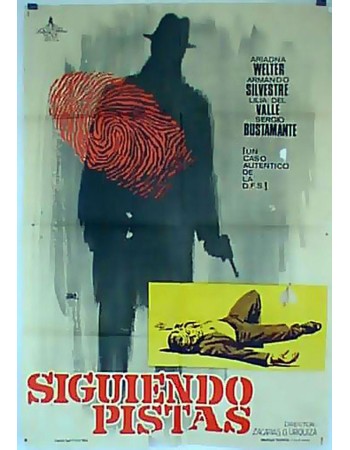 SIGUIENDO PISTAS
