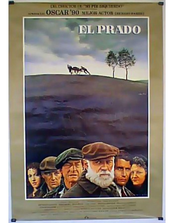 THE FIELD