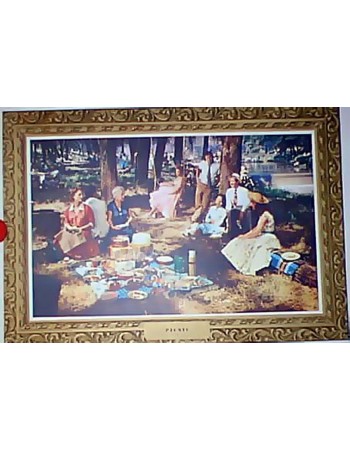 PICNIC