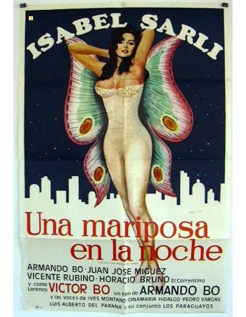 UNA MARIPOSA EN LA NOCHE