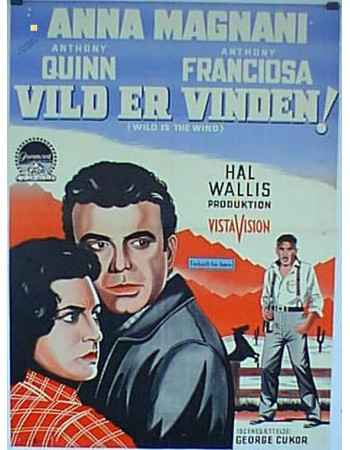WILD IS THE WIND