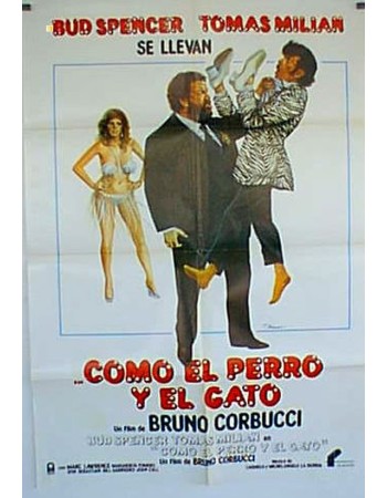 CANE E GATTO