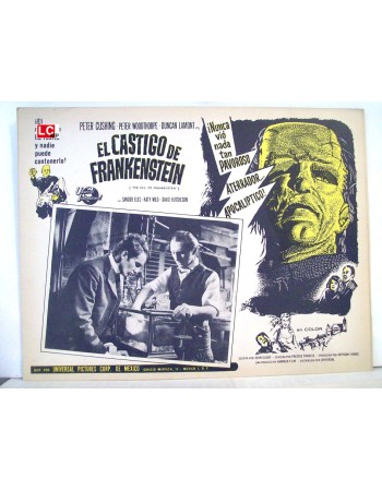 THE EVIL OF FRANKENSTEIN