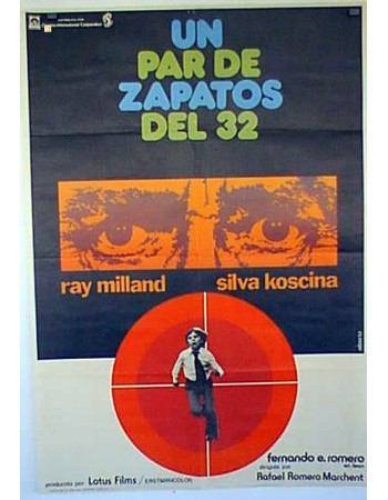 UN PAR DE ZAPATOS DEL 32