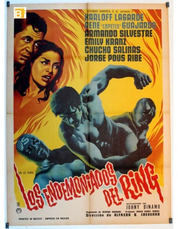 LOS ENDEMONIADOS DEL RING