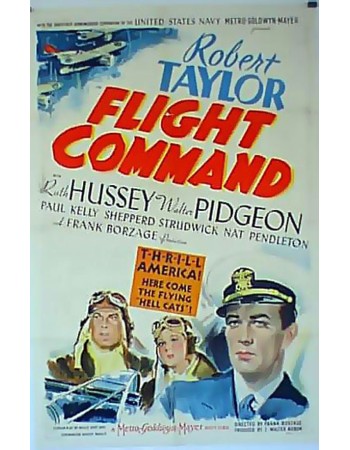 FLIGHT COMMAND