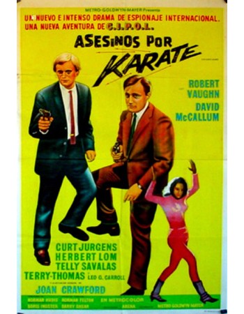 THE KARATE KILLERS