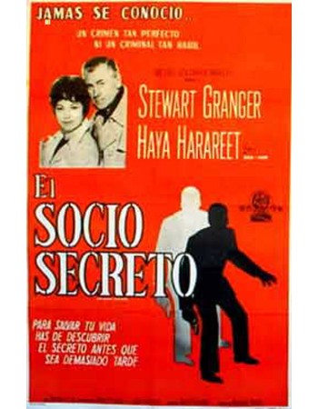 THE SECRET PARTNER