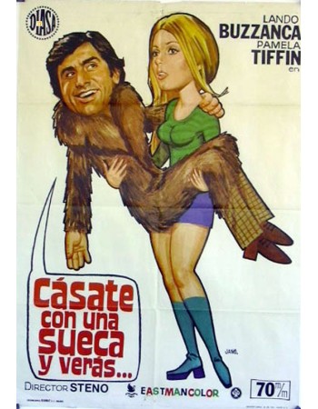 IL VICHINGO VENUTO DAL SUD