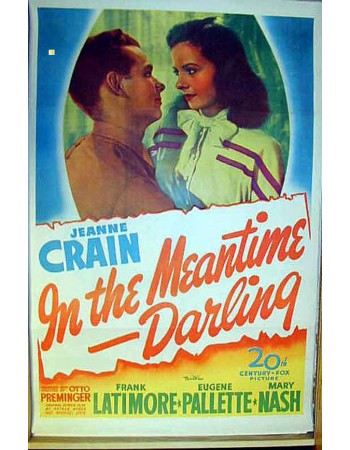 IN THE MEANTIME DARLING