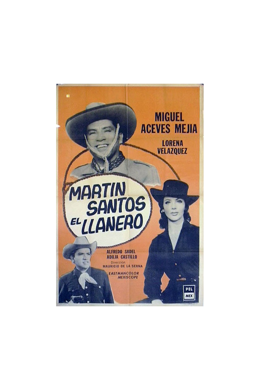 MARTIN SANTOS EL LLANERO