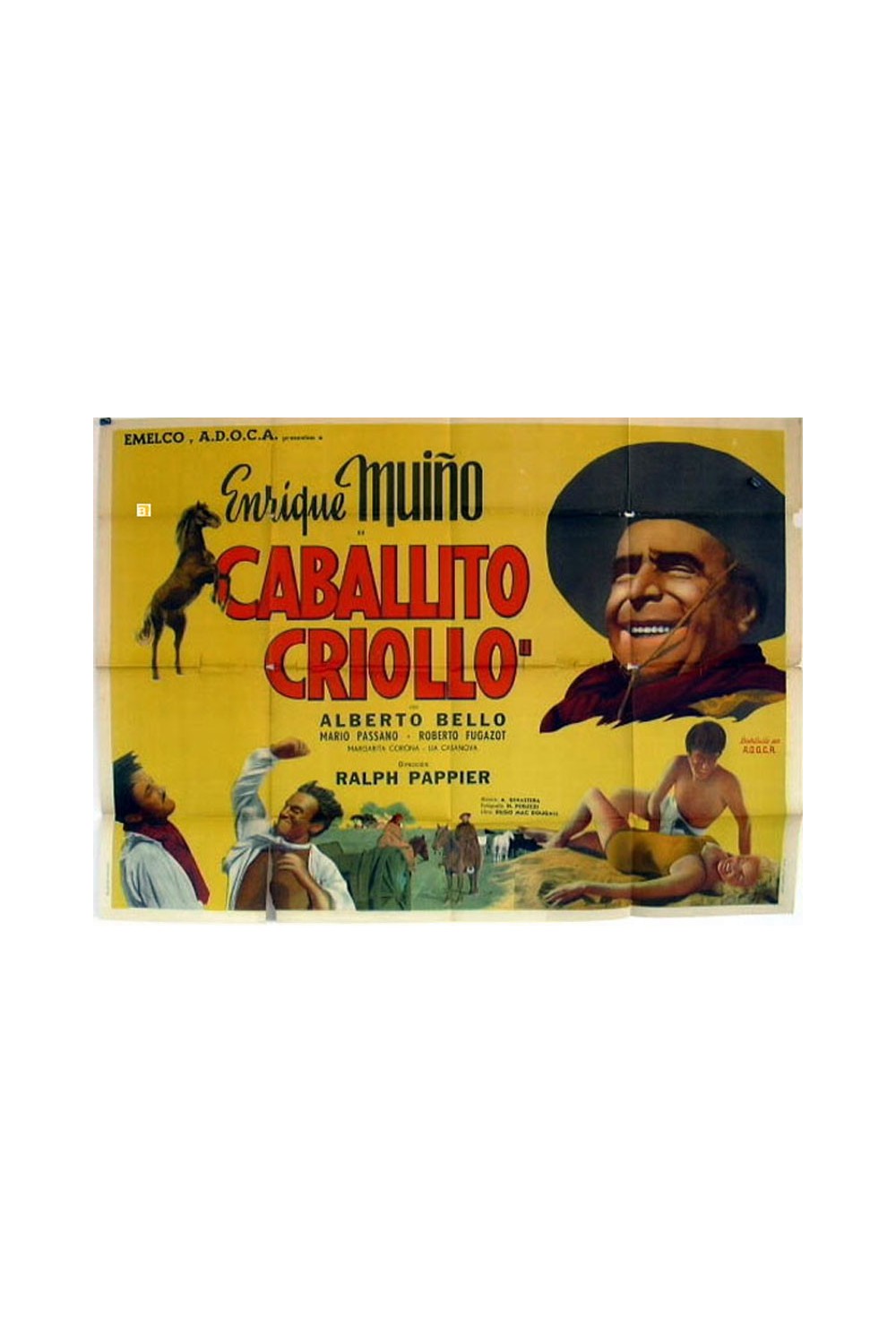 CABALLITO CRIOLLO