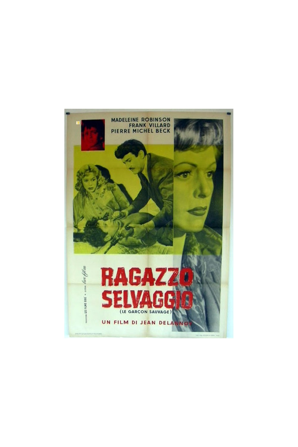 LE GARÇON SAUVAGE