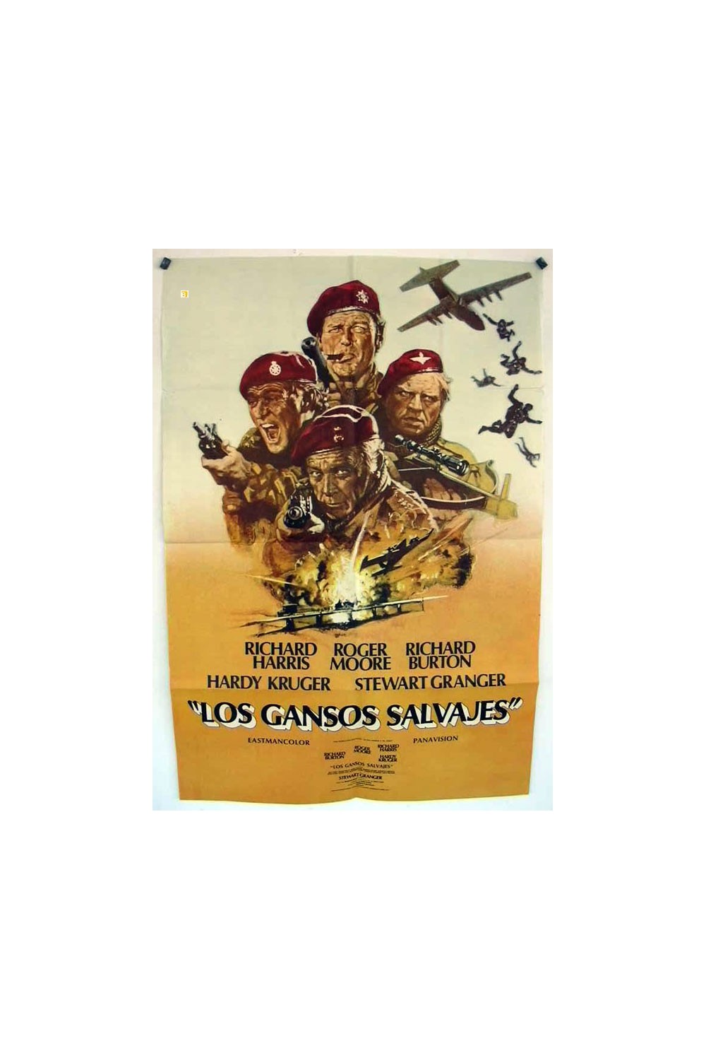 THE WILD GEESE