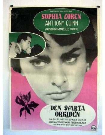 THE BLACK ORCHID