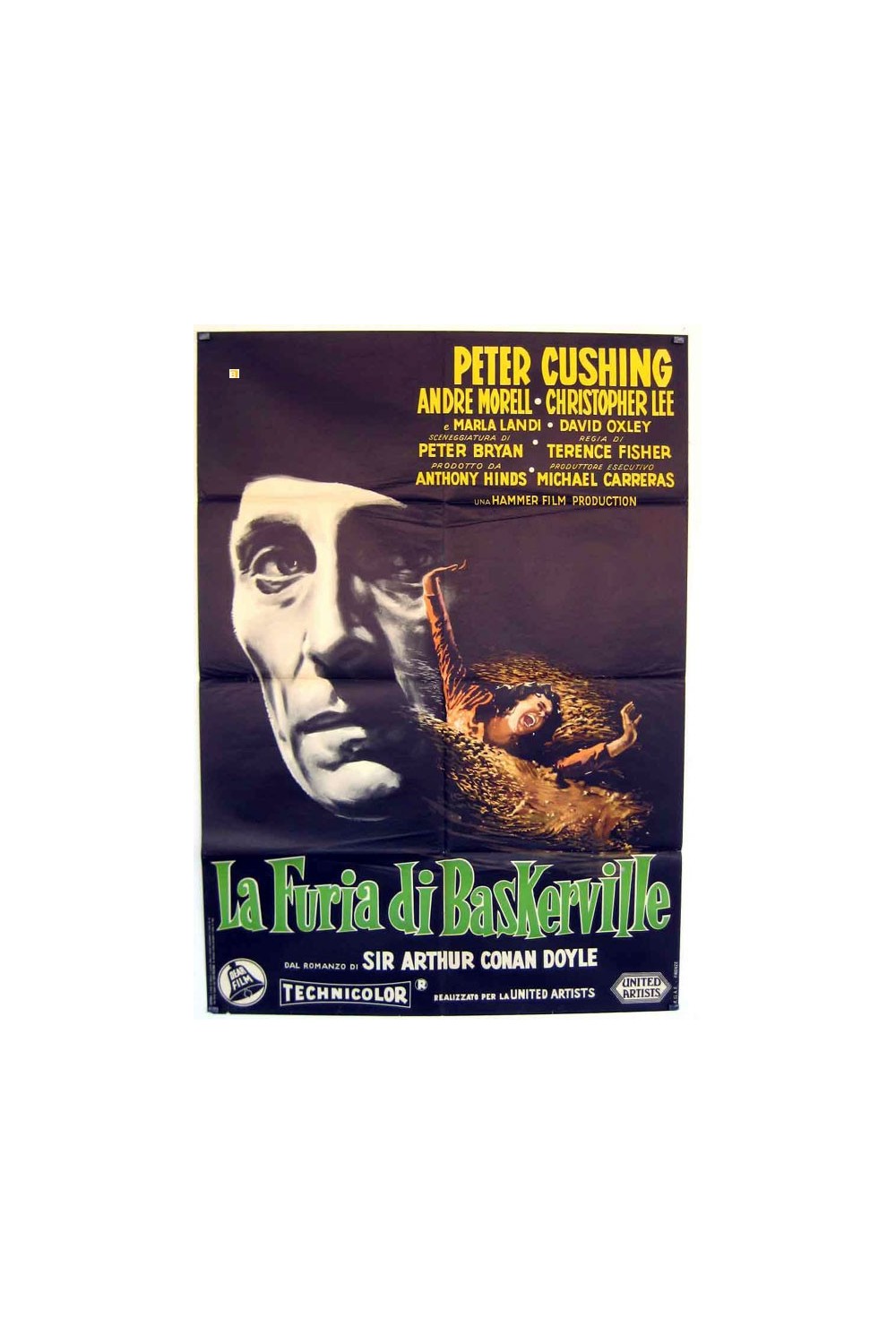 THE HOUND OF THE BASKERVILLES