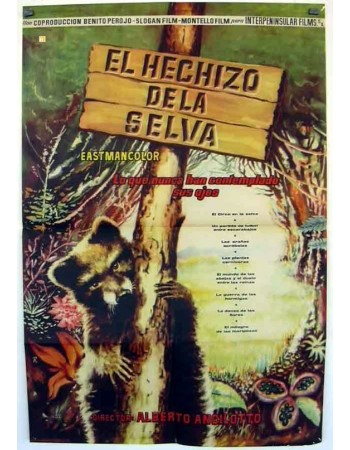 L'INCANTO DELLA FORESTA